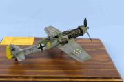 512 Tognolina Claudio FW 190 D9